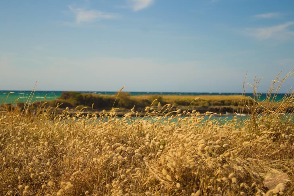 Borgo Degli Artisti Villa Ostuni Bagian luar foto